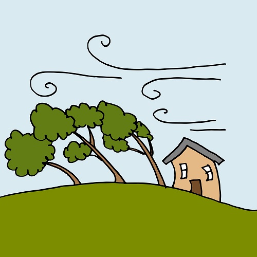tree and house being blown by wind
