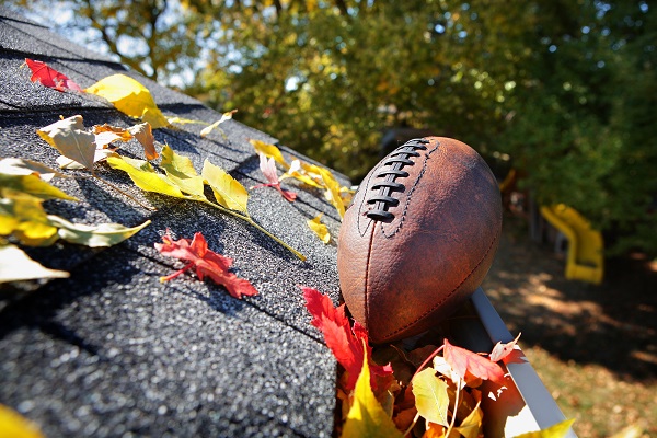 football on rock with autumn leaves