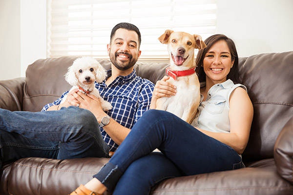 Couple sitting on couch with dogs