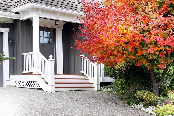 House with maple tree by door